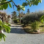 Alba Morus * La Morra