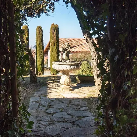 Alba Morus La Morra