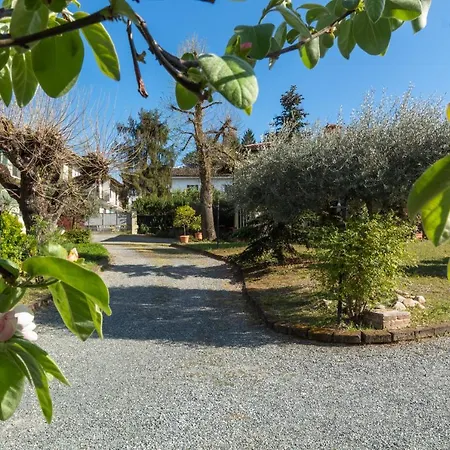 Alba Morus * La Morra