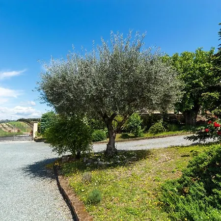 Апартаменты Alba Morus