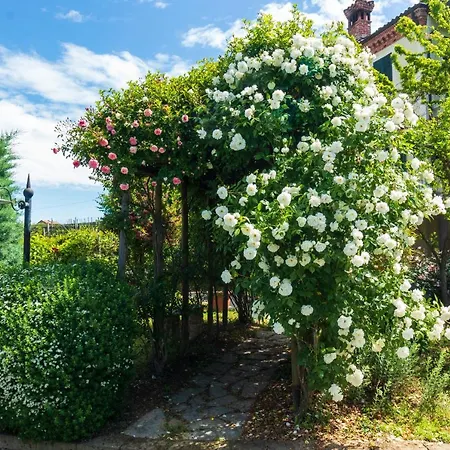 Alba Morus Апартаменты *