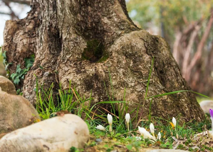 Alba Morus شقة لا مورّا